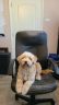 Boomer (11).jpg